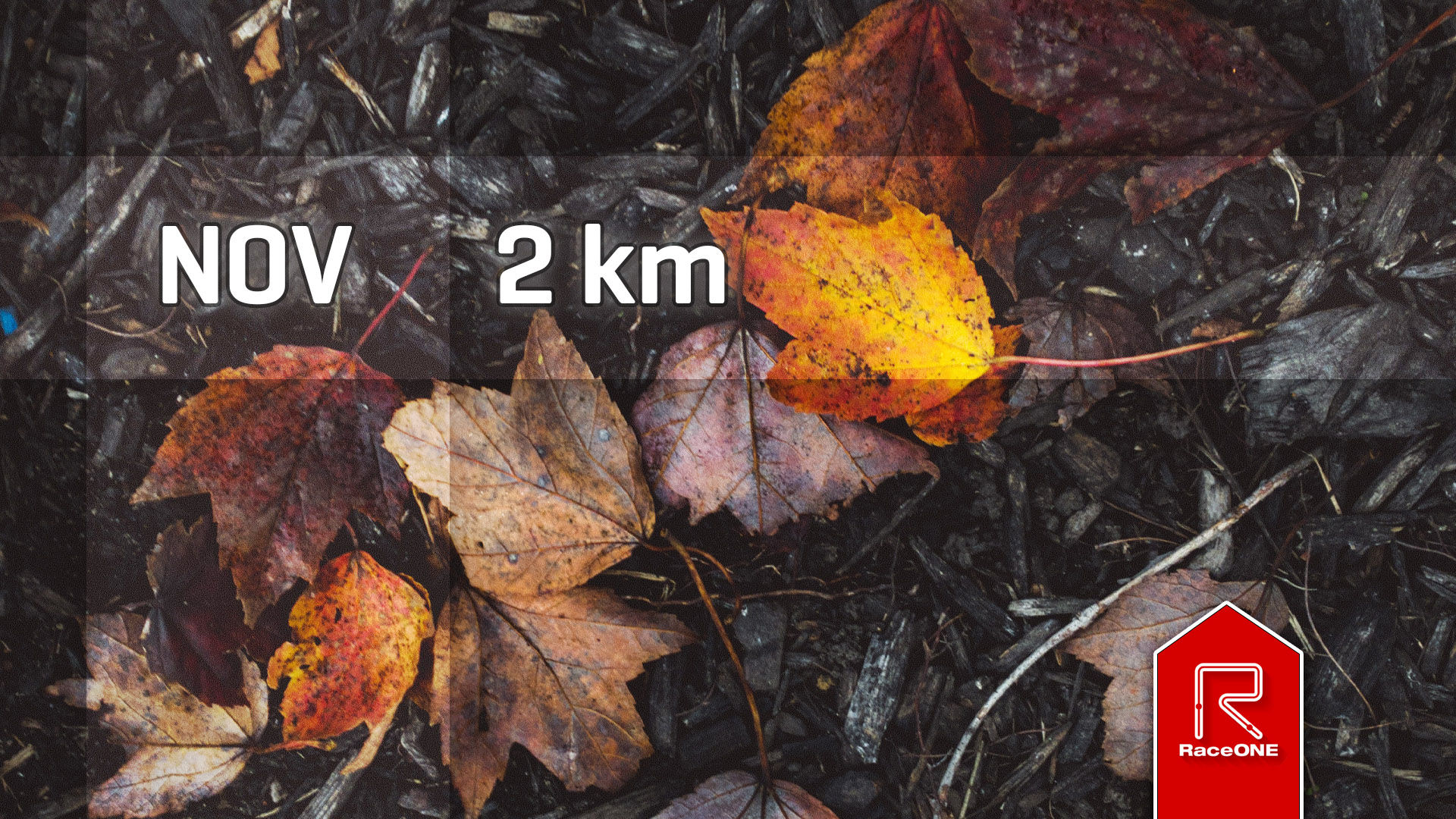 RaceONE - November 2km