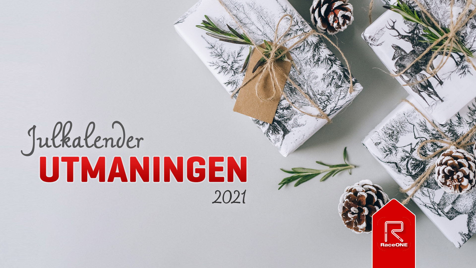 Julkalenderutmaningen Lucka 19