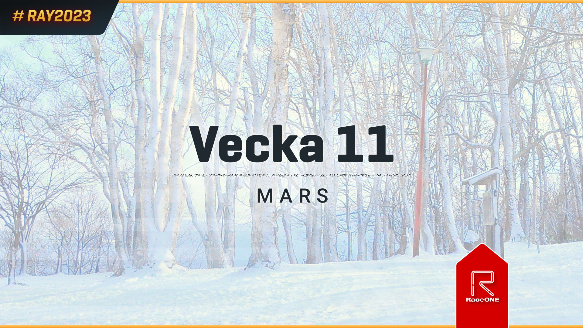 RAY2023 - Vecka 11 - 30 min