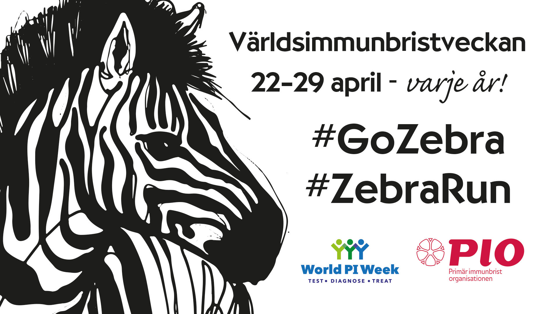 Världsimmunbristveckan 2024 #GoZebra #ZebraRun - 1 km