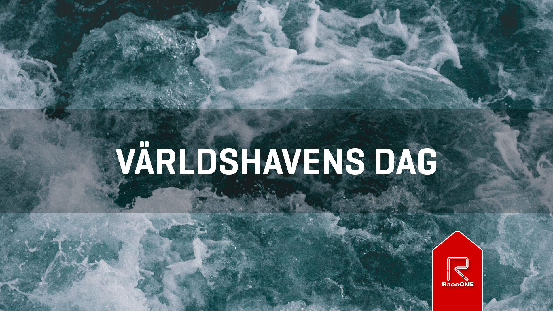 Världshavens Dag - 2 km