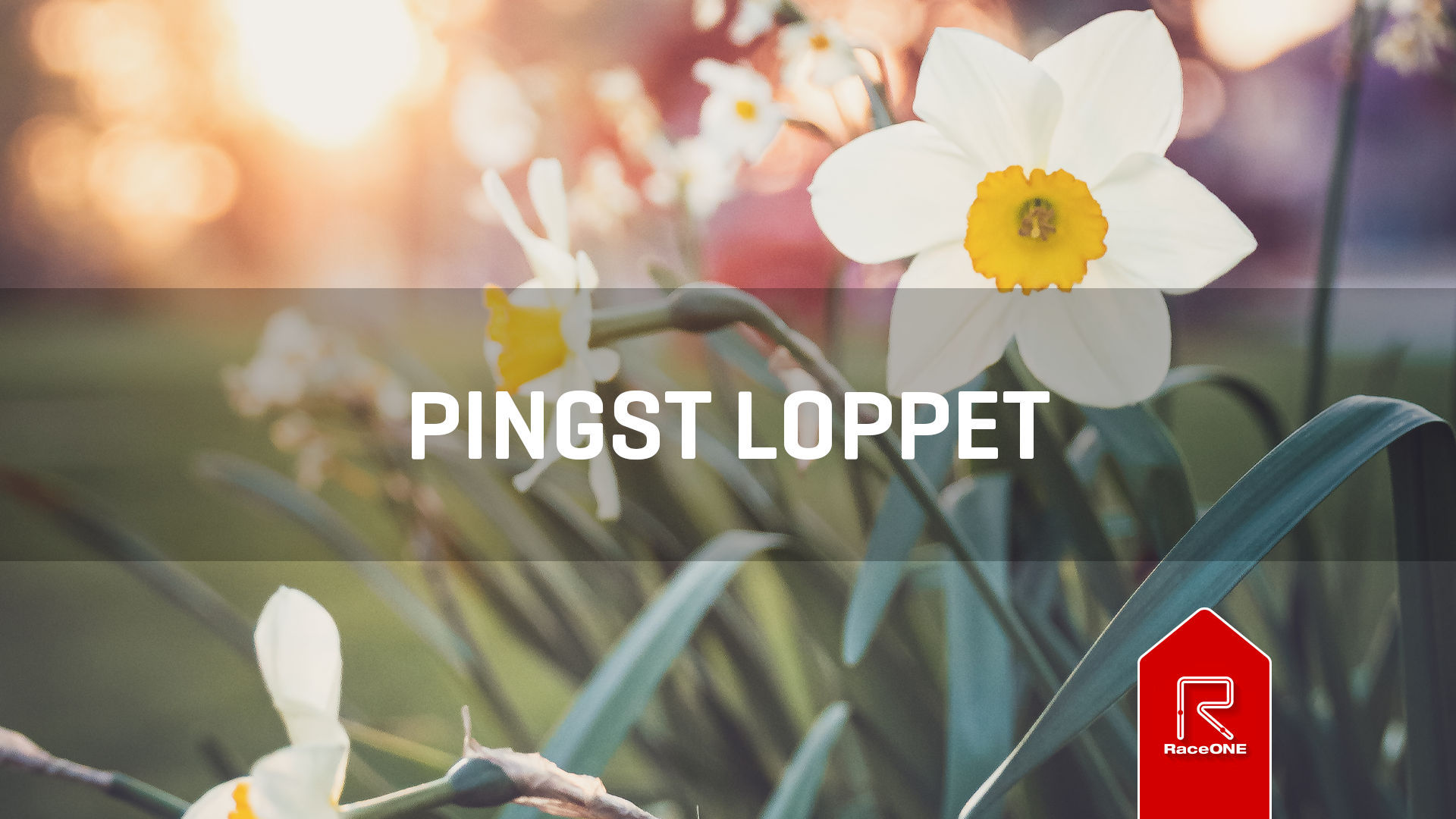Pingstloppet - 5 km