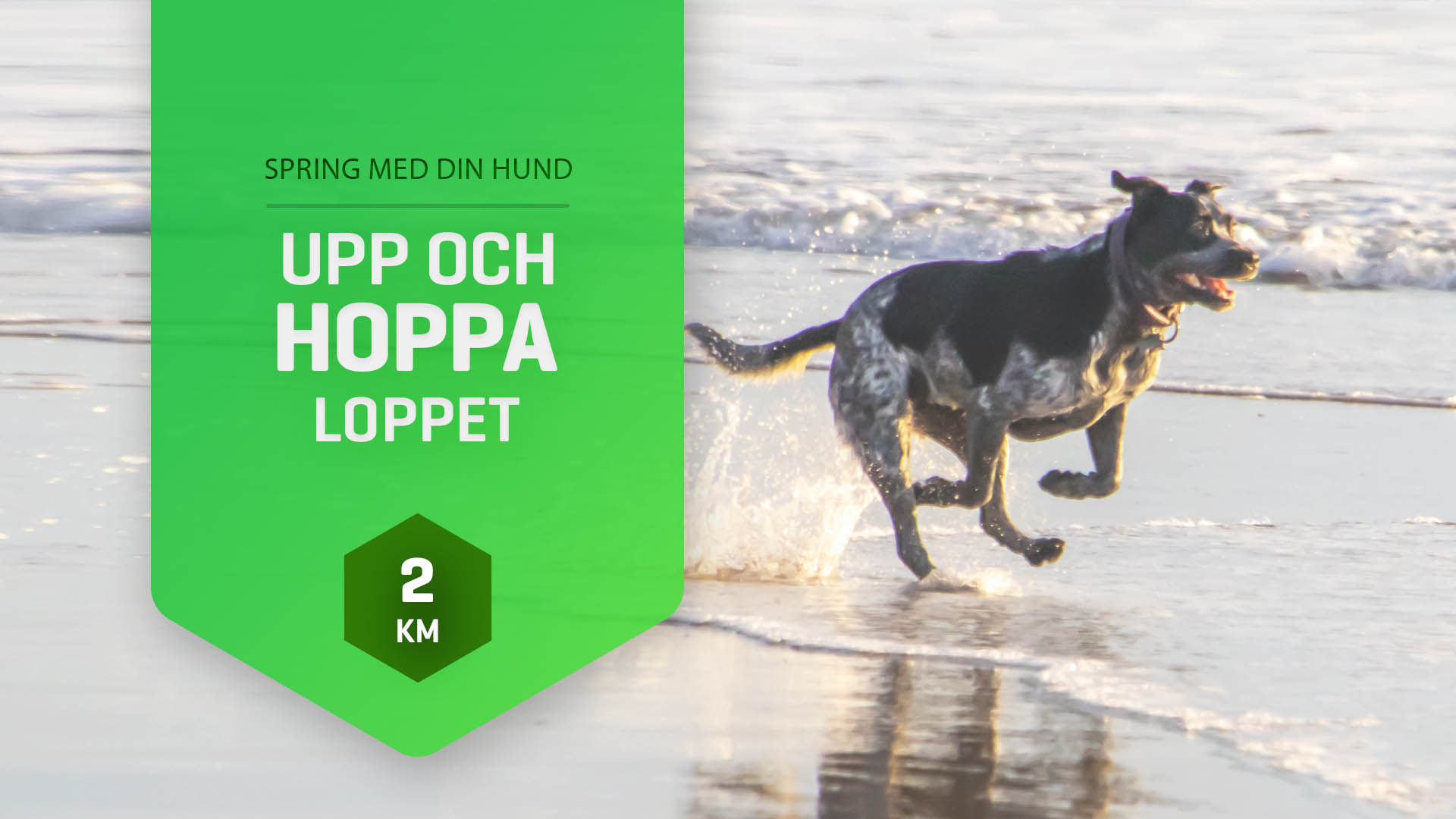 Upp & Hoppa-Loppet Höst Grön 2km