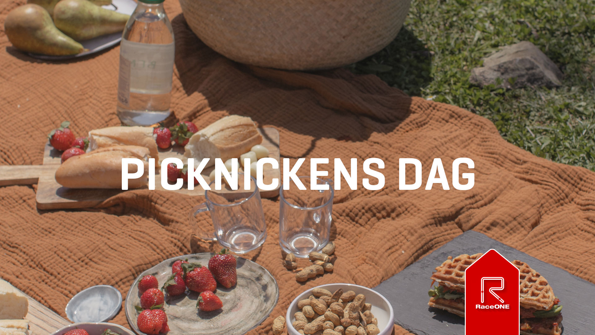 Picknickens Dag - 5 km