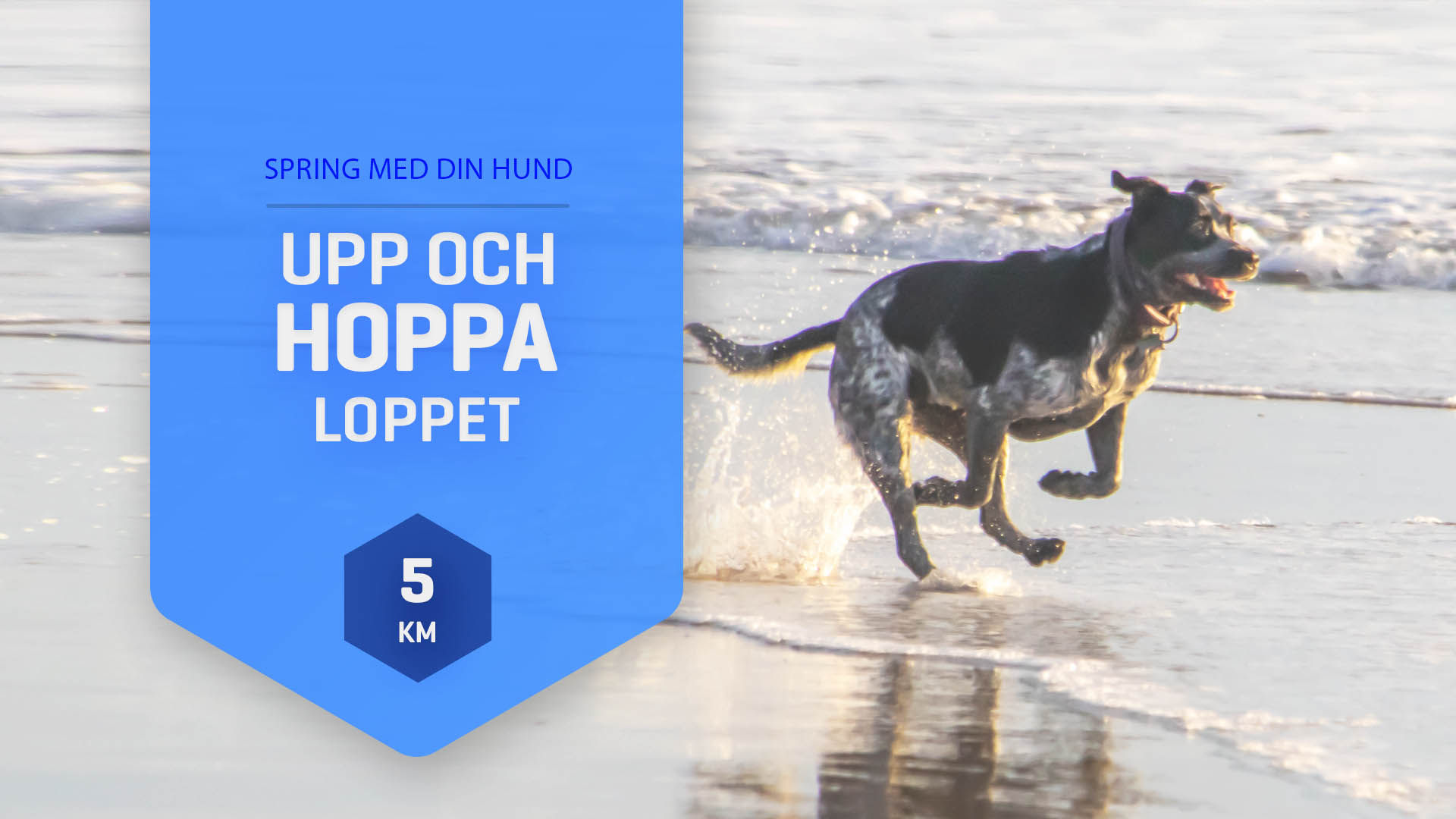 Upp & Hoppa-Loppet Höst Blå 5 km