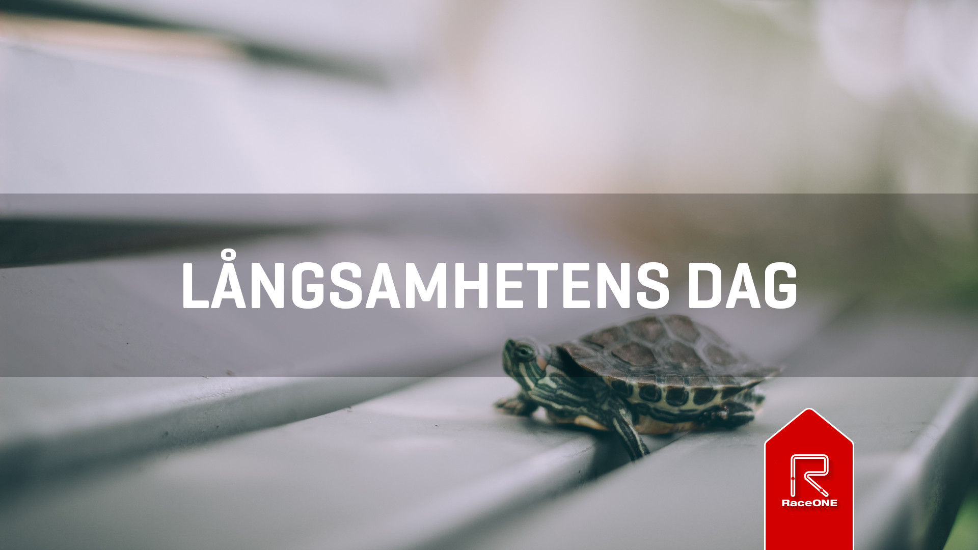 Långsamhetens Dag - 15 min