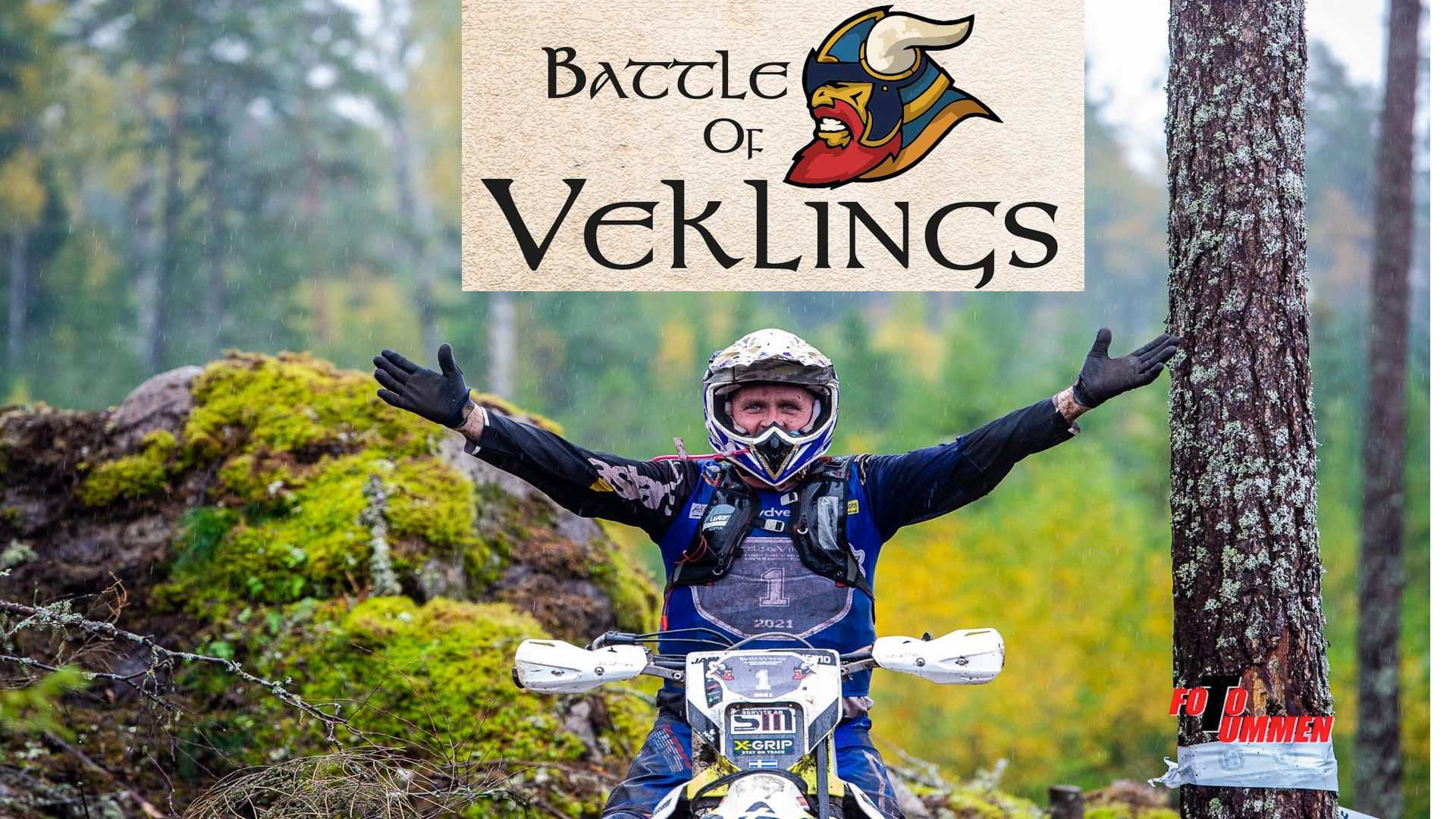 Battle of  Veklings