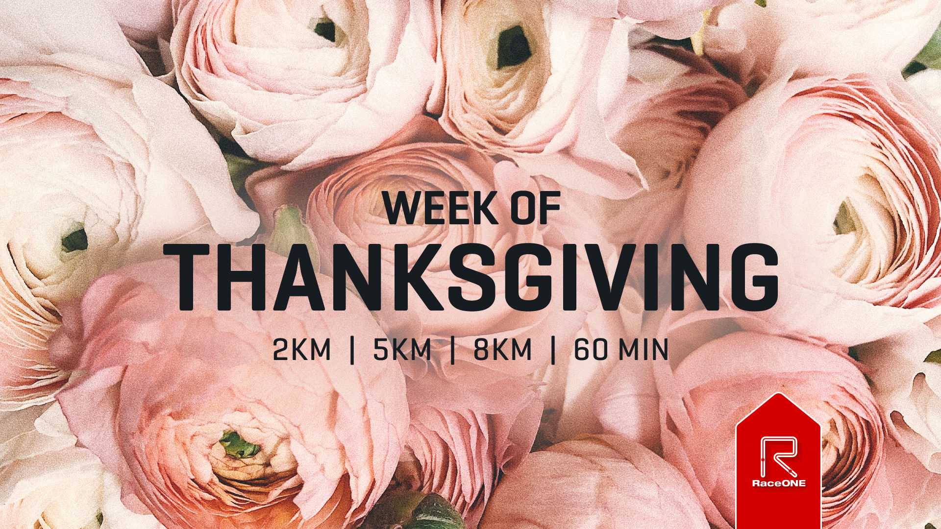 Week of Thanksgiving - 8km