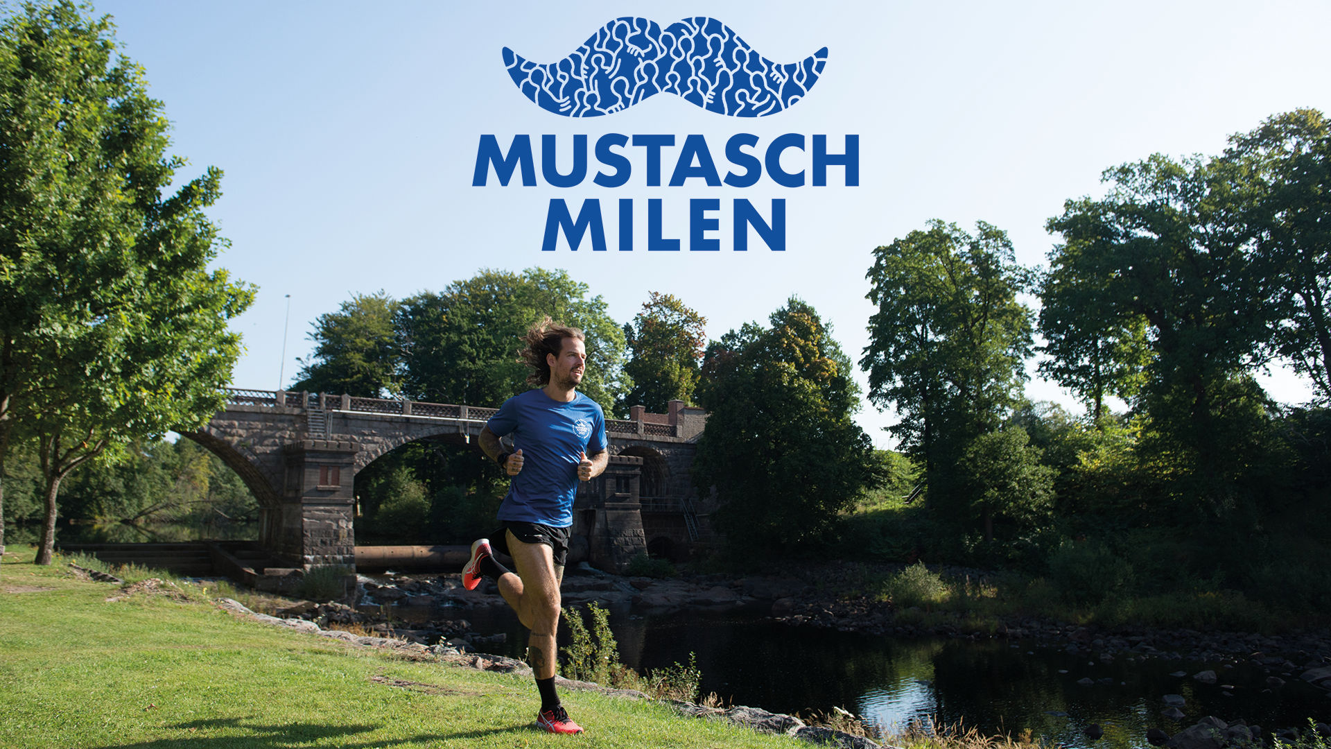 Mustaschmilen 5 km - virtuellt