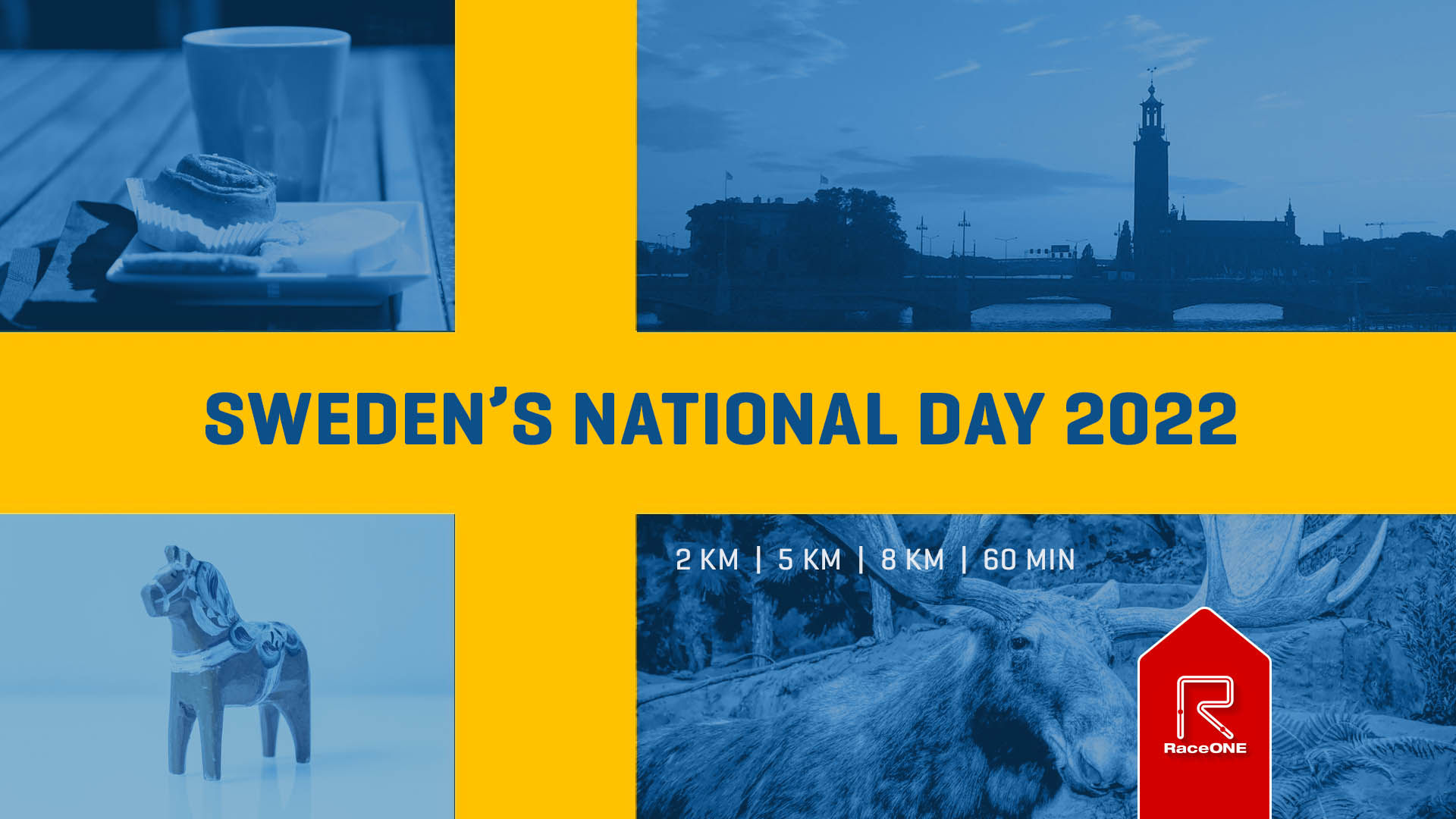 Sweden's National Day