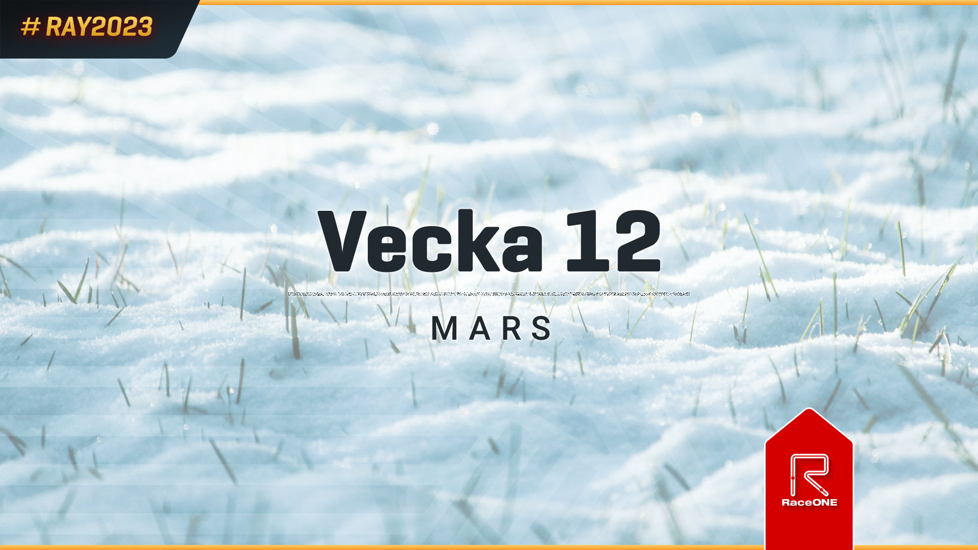 RAY2023 - Vecka 12 - 30 min