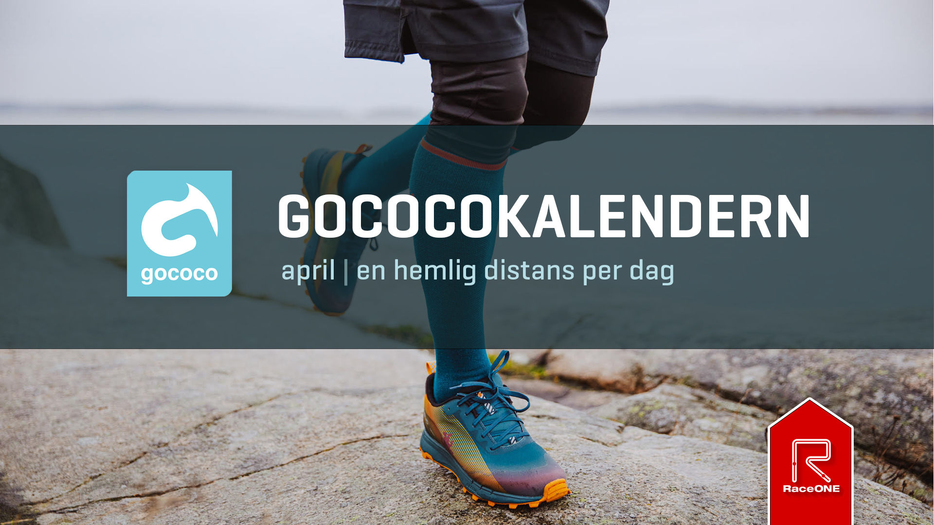 Gococokalendern #4.5