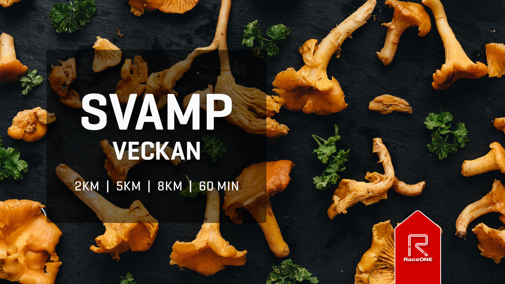 Svampveckan - 8km