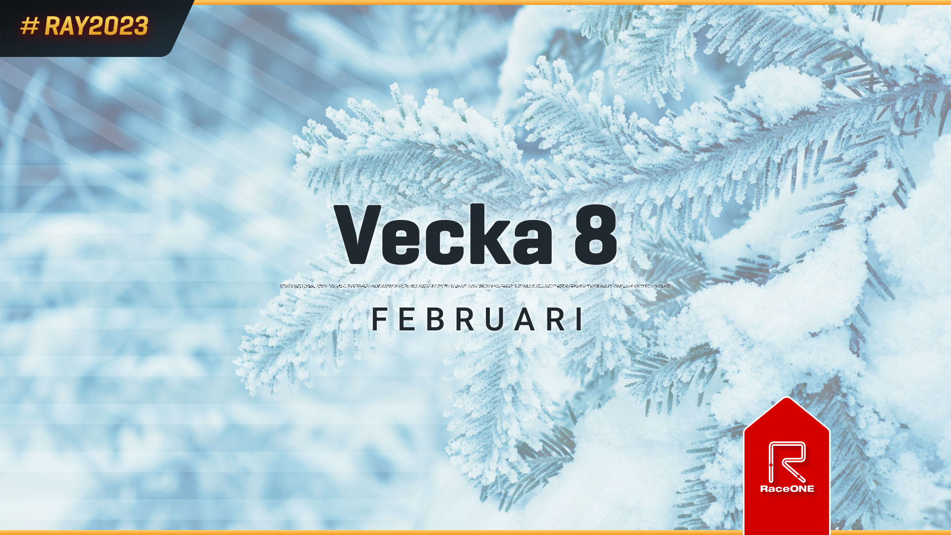 RAY2023 - Vecka 8 - 2,5 km