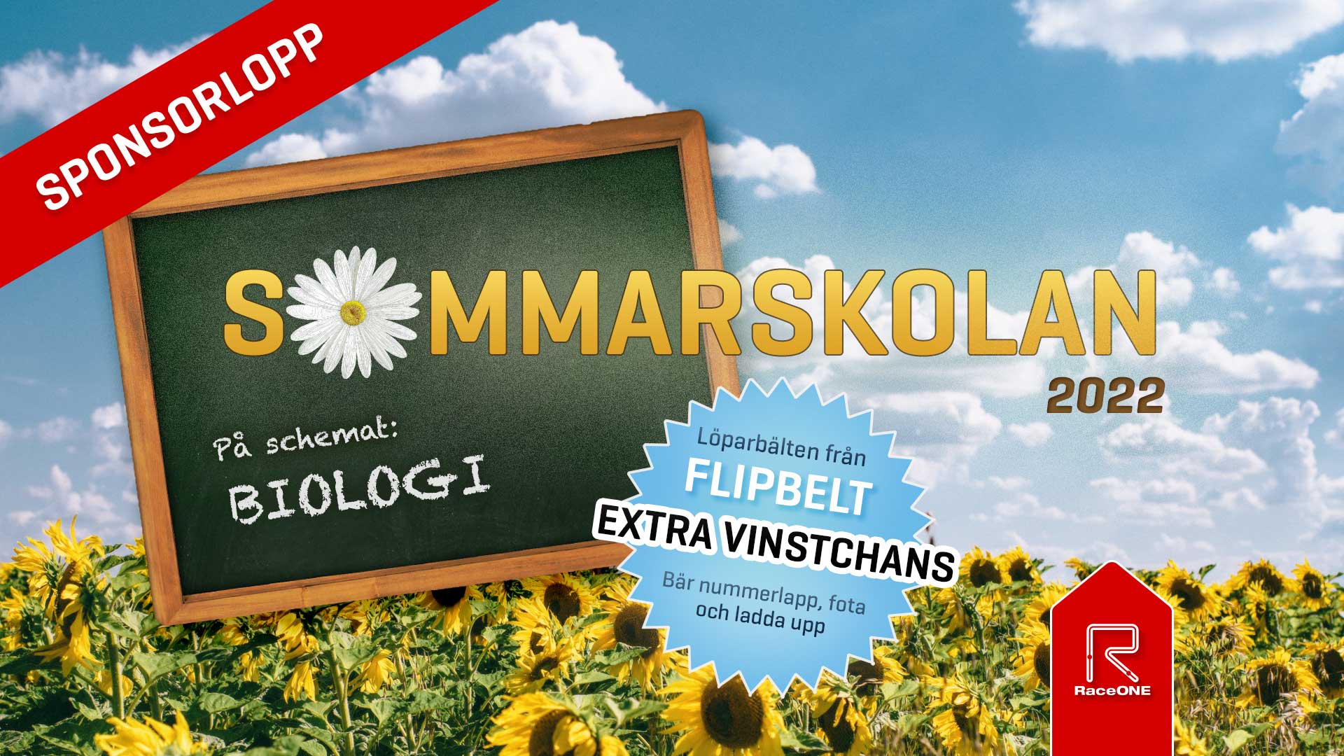 Sommarskolan - v2 - 40min Flipbelt