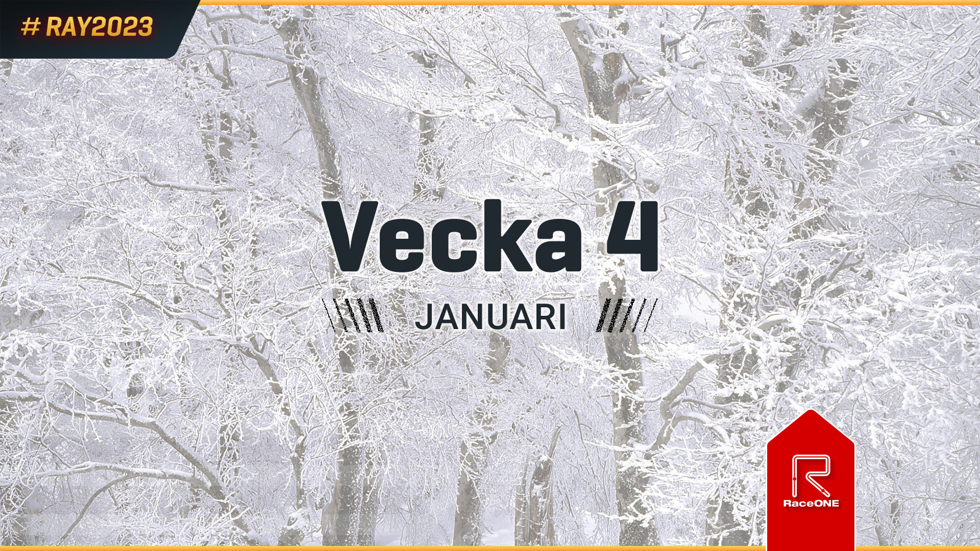 RAY2023 - Vecka 4 - 5 km