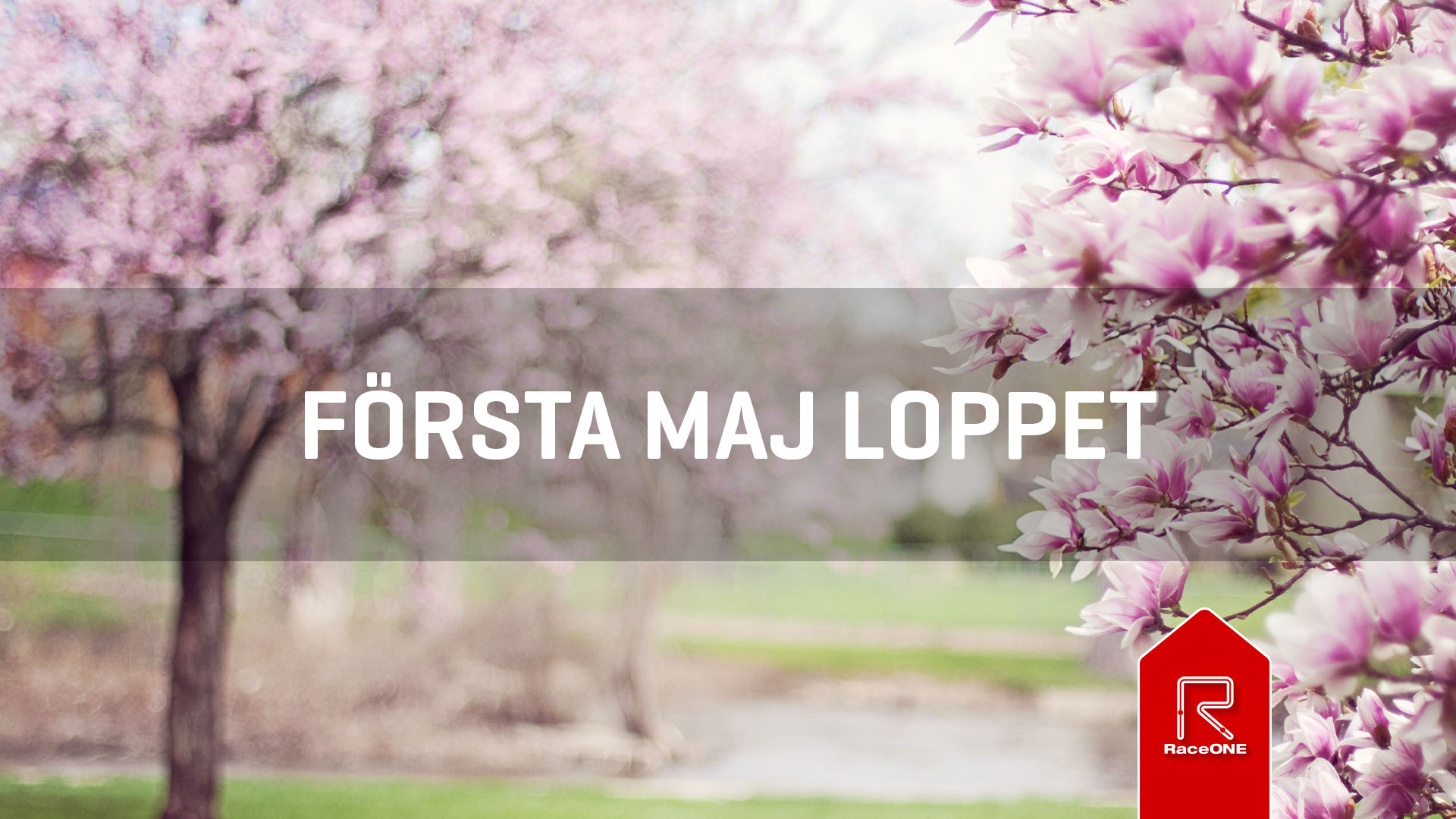 Första maj loppet - 30 min