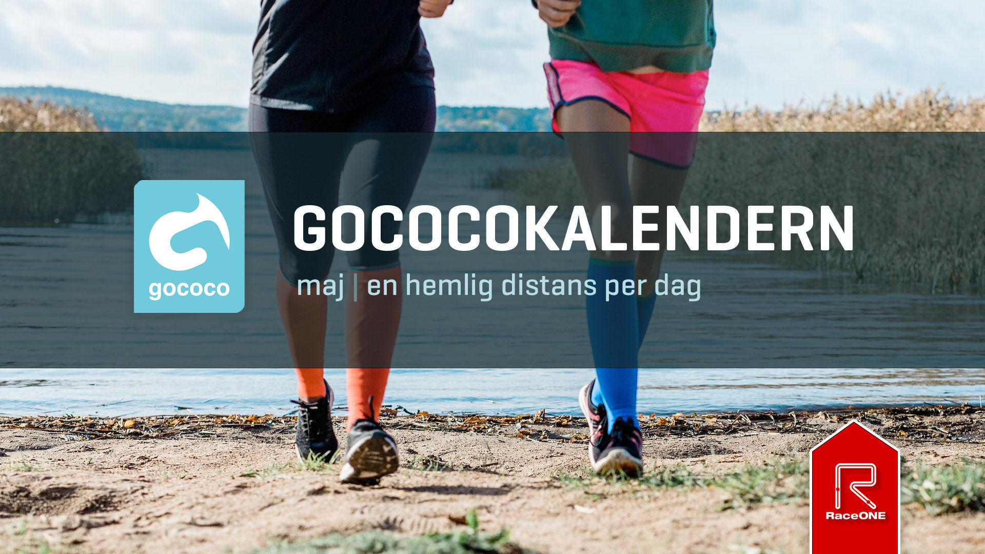 Gococokalendern #5.1