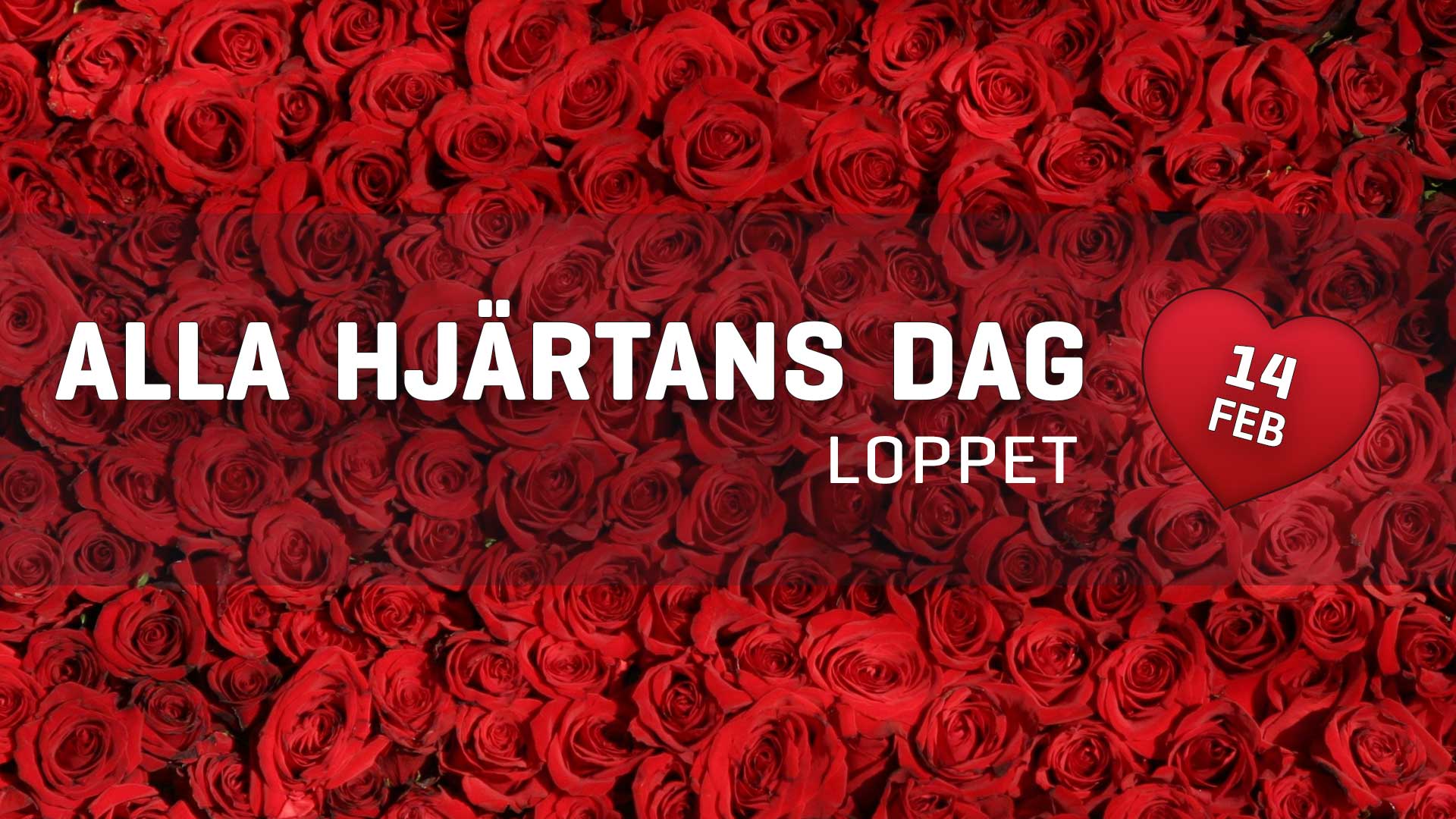 Alla Hjärtans dag loppet 