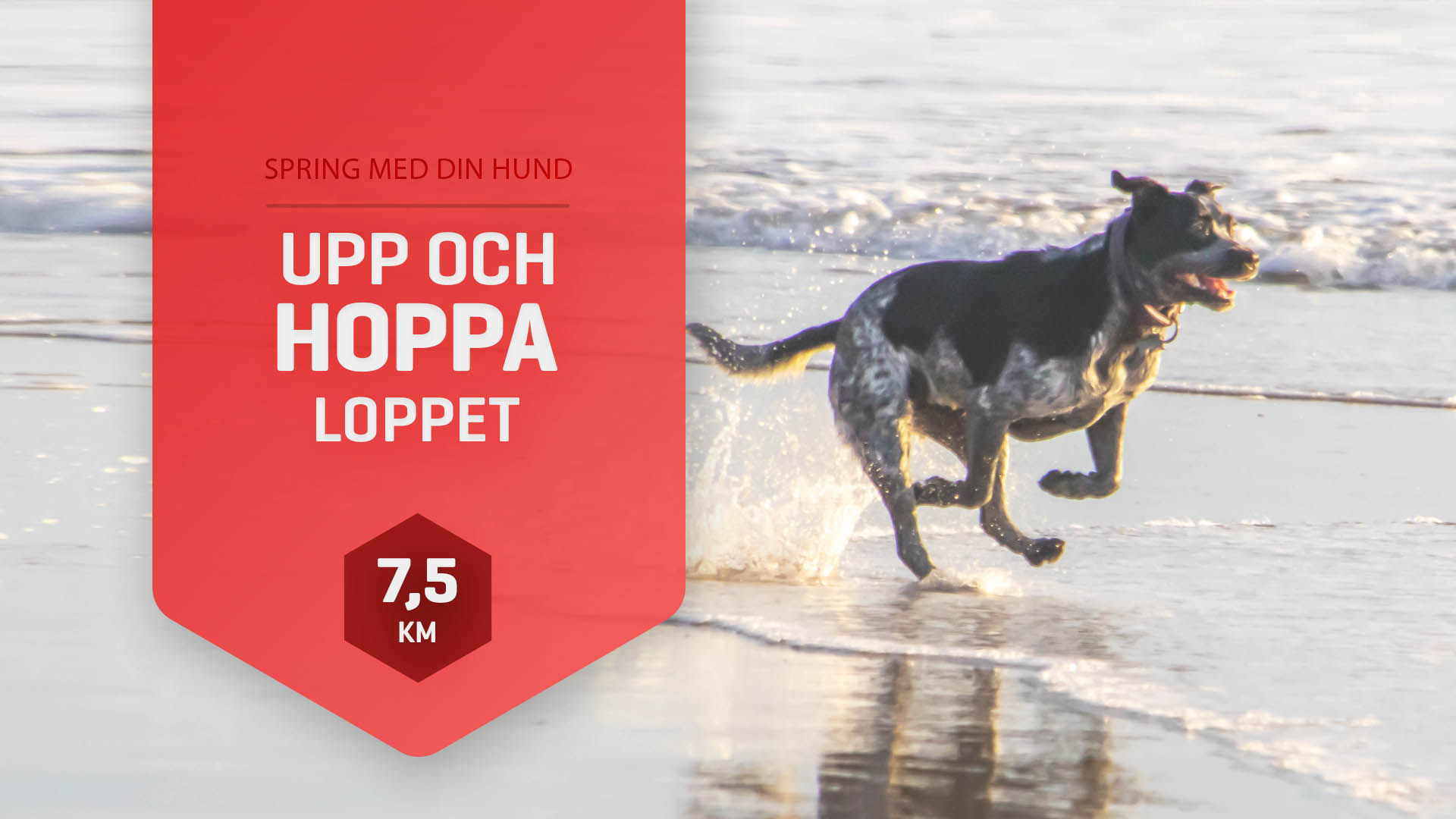 Upp & Hoppa-Loppet Sommar Röd 7,5km
