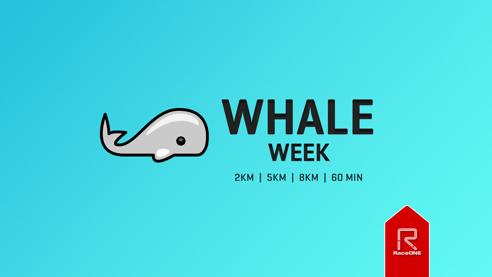 Whale Week - 8km