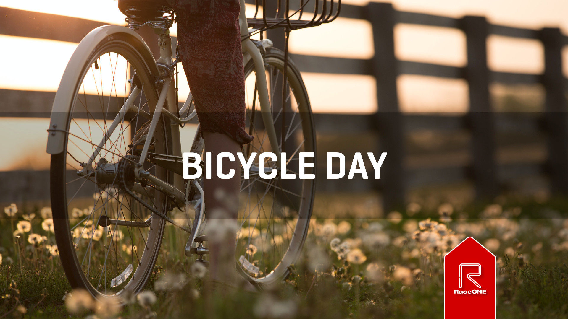 Internationella Cykeldagen - 15 min