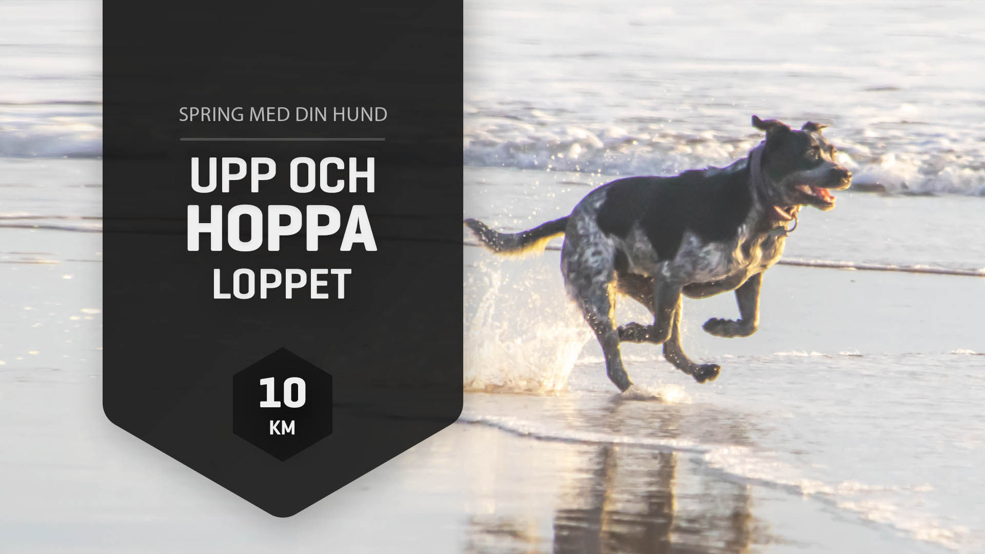 Upp & Hoppa-Loppet Sommar Svart 10km