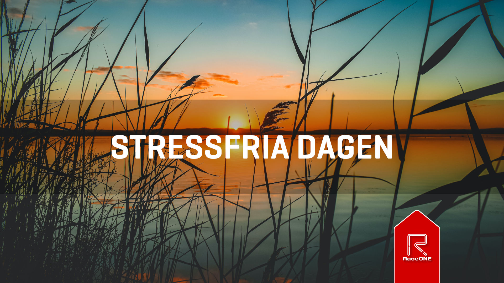 Stressfria Dagen - 30 min