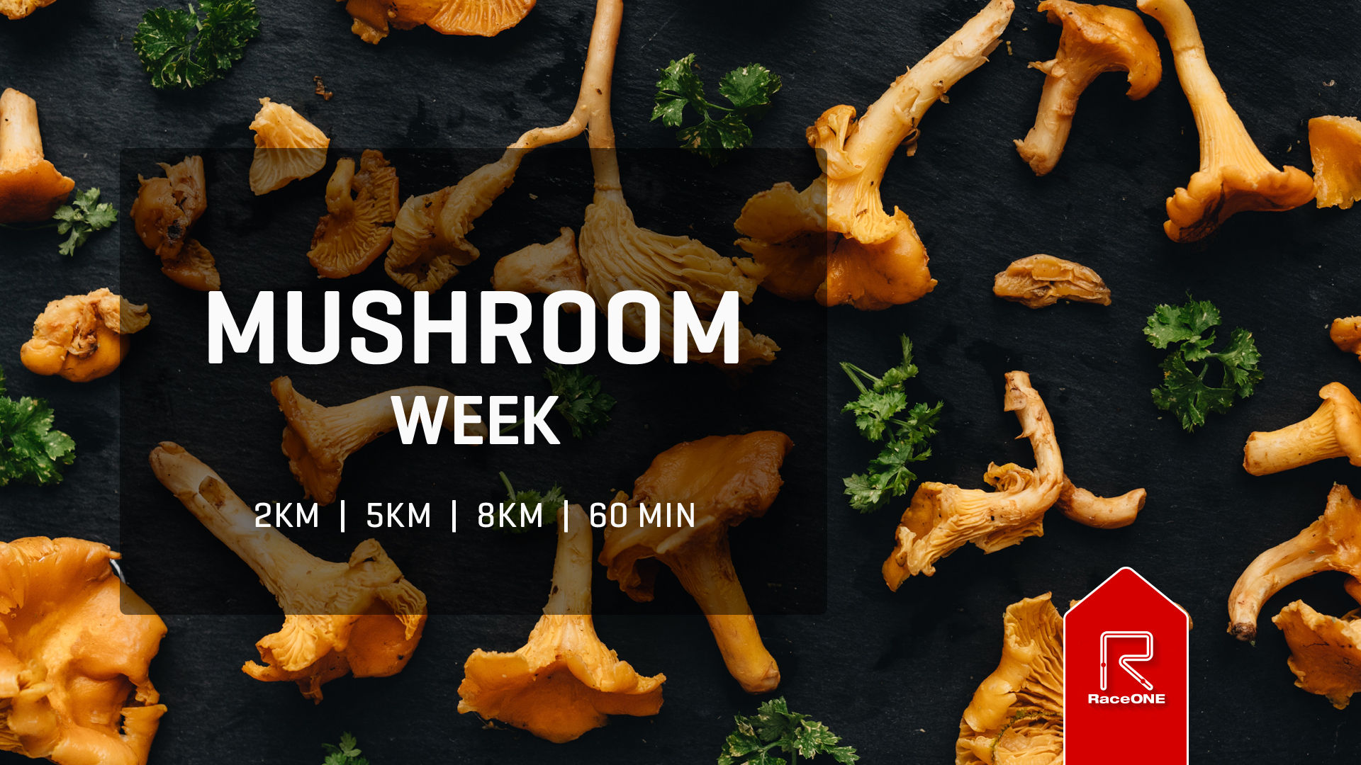 Mushroom Week - 8km