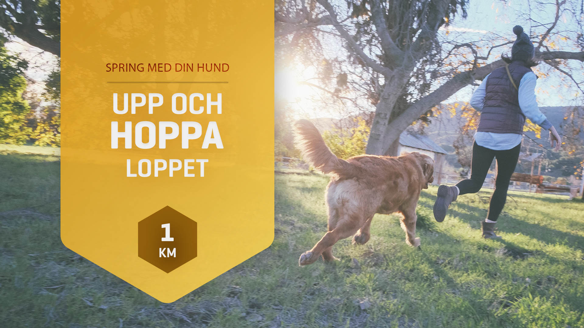 Upp & Hoppa-Loppet Vår Gul 1km