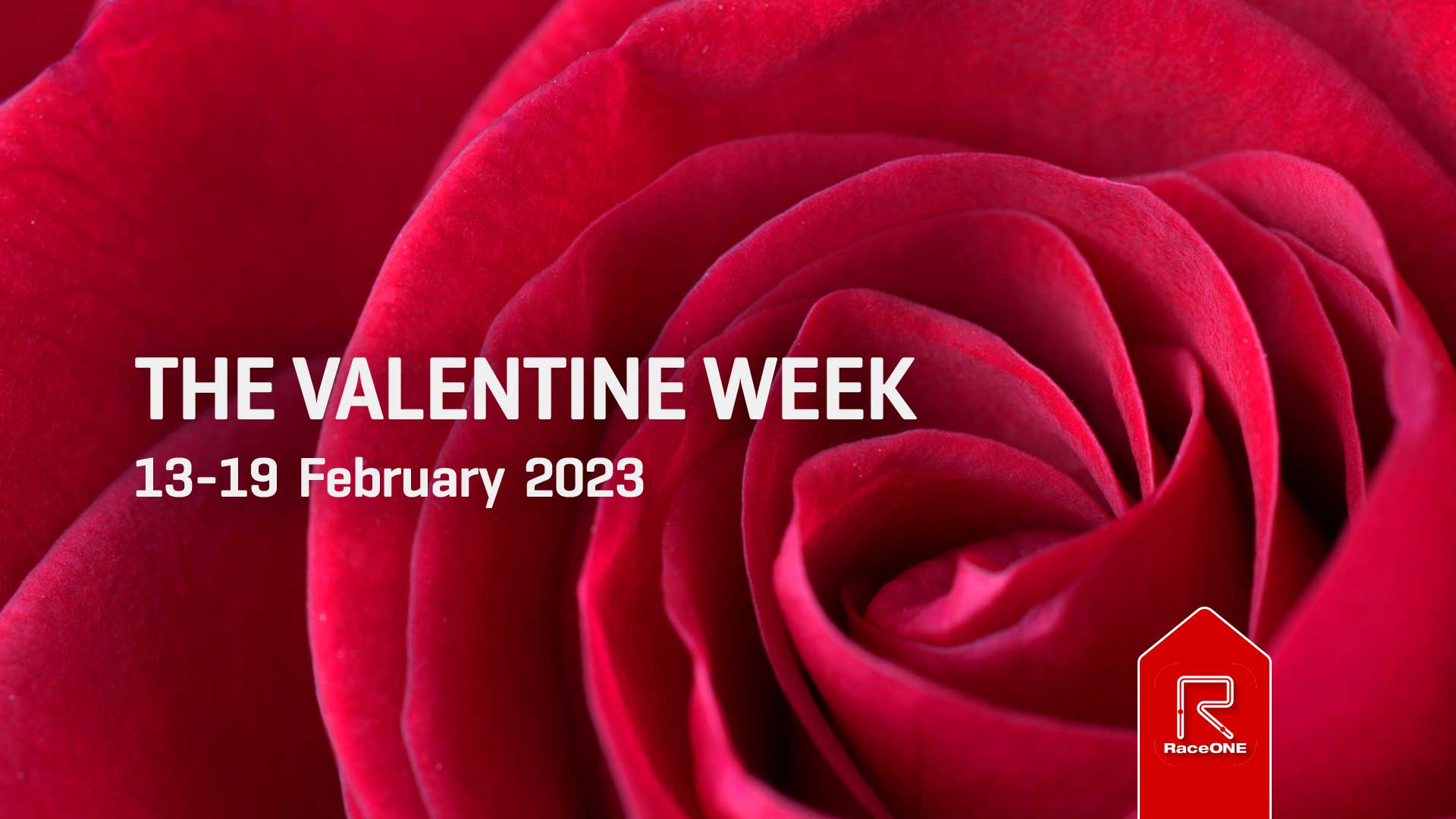 The Valentine Week - 6 km