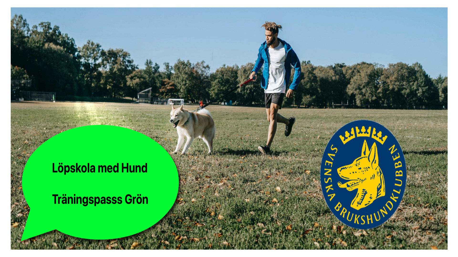 Träna med Hund Grön